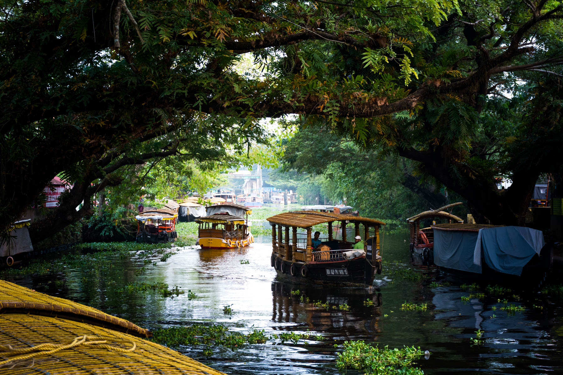 Image result for Alleppey, Kerala