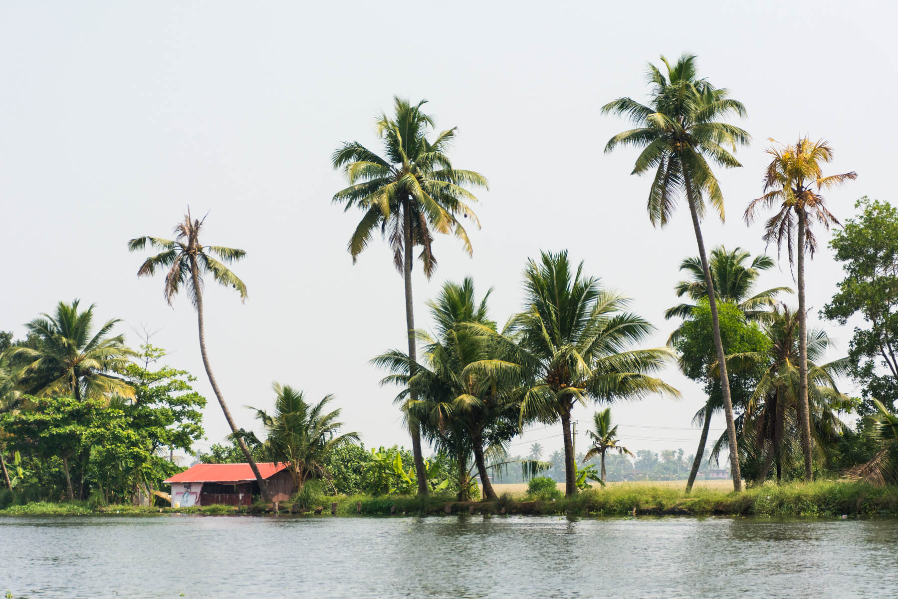 A tiny house on a canal in Alleppey (Alappuzha), Kerala, India - Lost With Purpose
