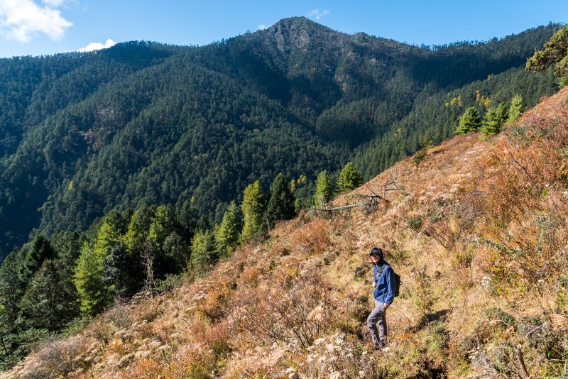 What Is It Like To Go On A Guided Tour In Bhutan Lost With Purpose