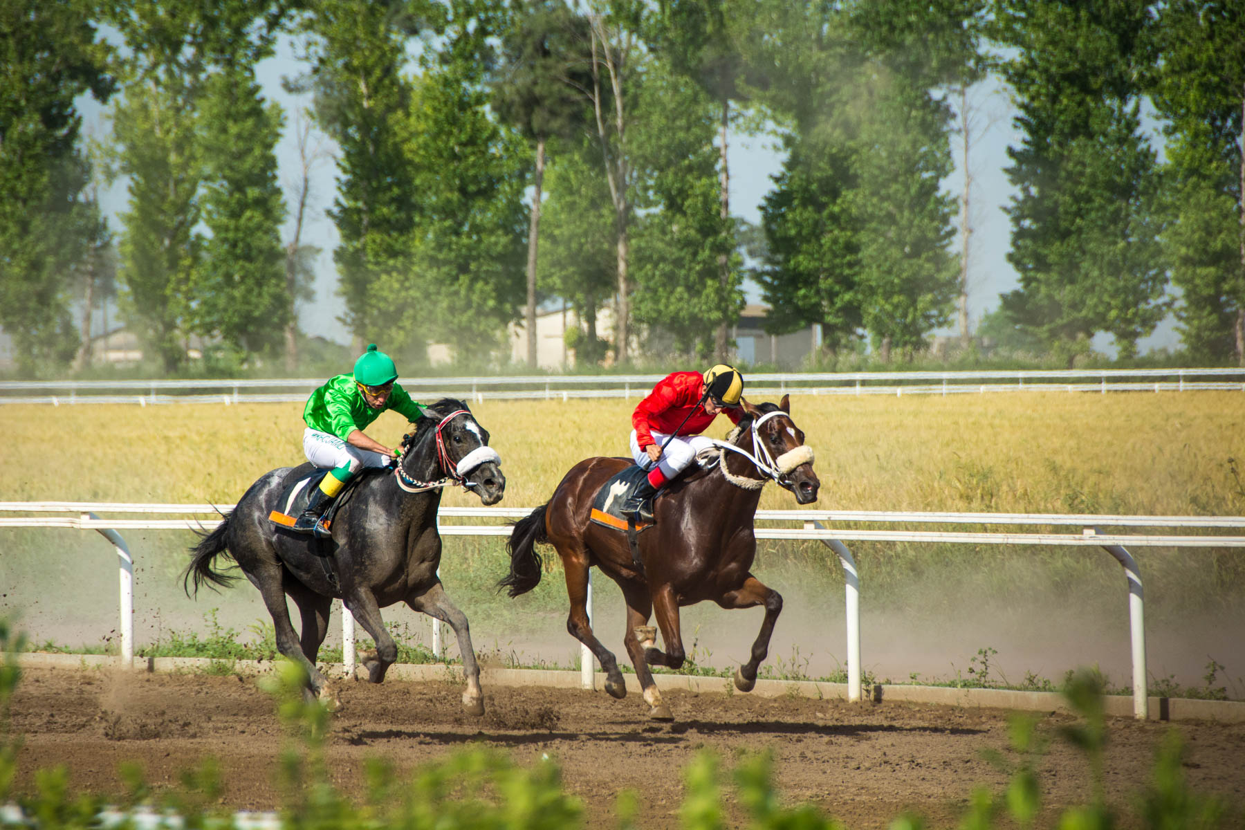 Horses racing in Gonbad-e Kavus, Iran.