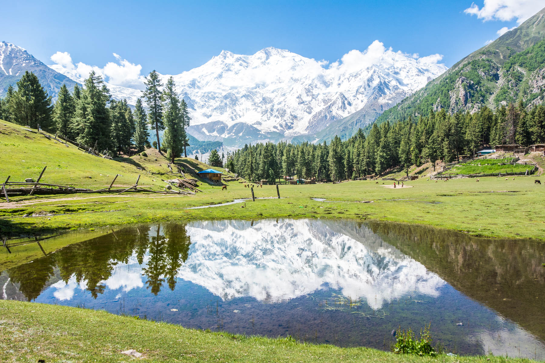 Naran to Chilas and Fairy Meadows in Pakistan