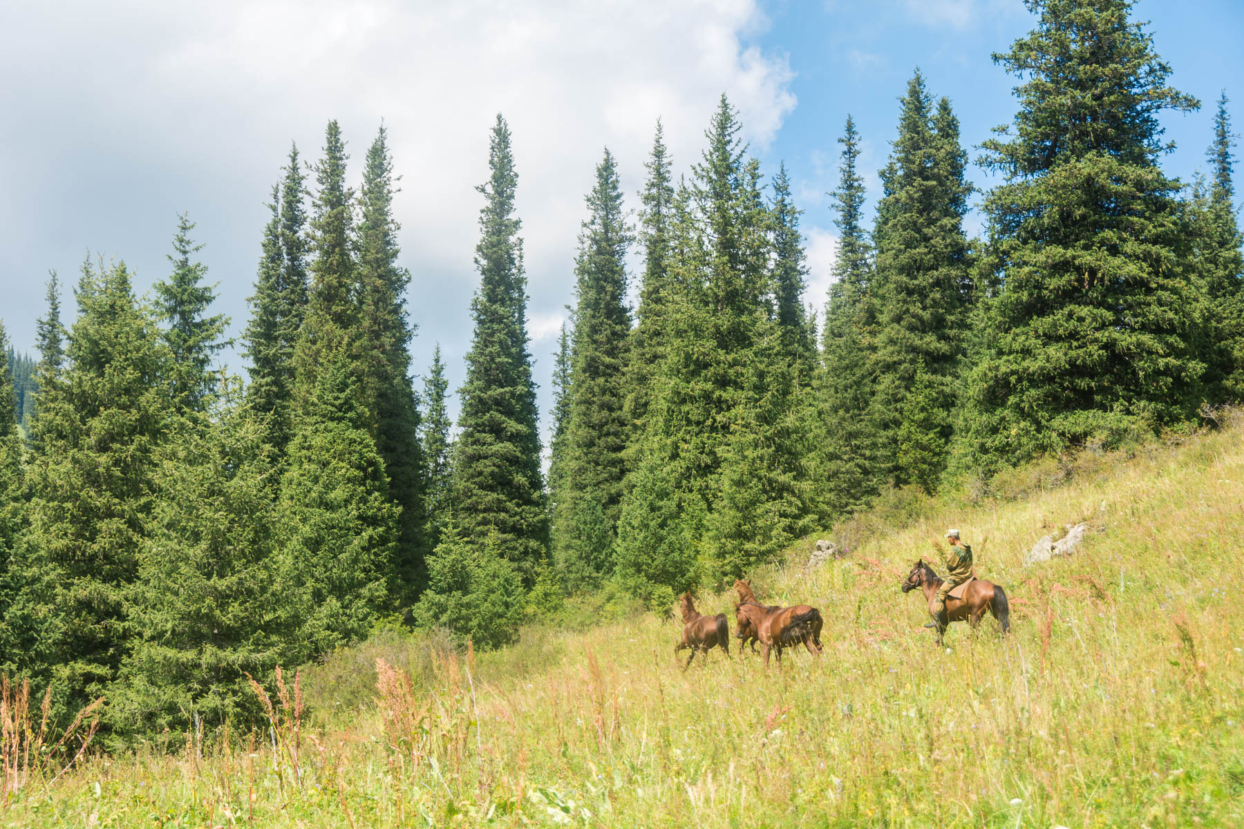 Horses and herder at the second lake of Kolsai, Kazakhstan - Lost With Purpose