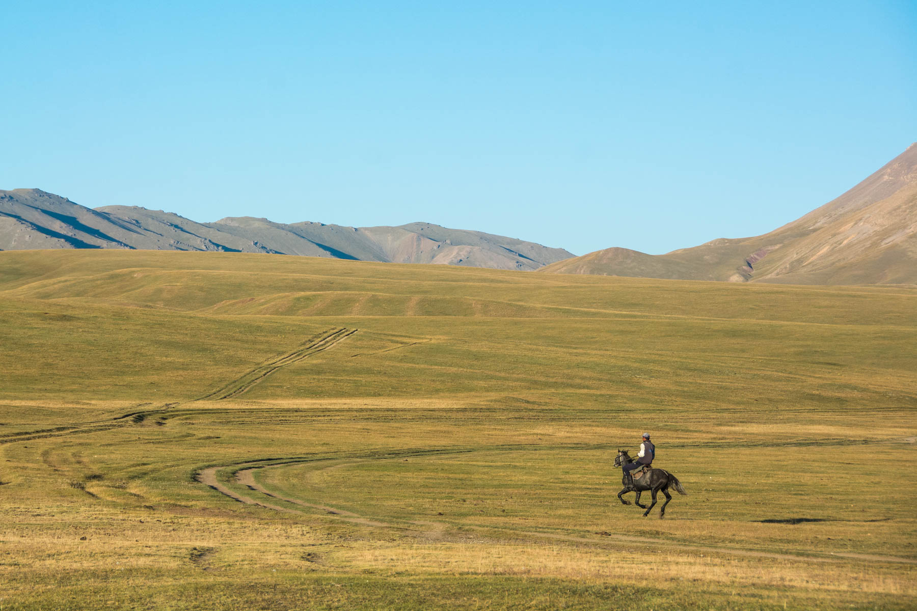 A Kyrgyz horseman riding around at Song Kul lake - Lost With Purpose