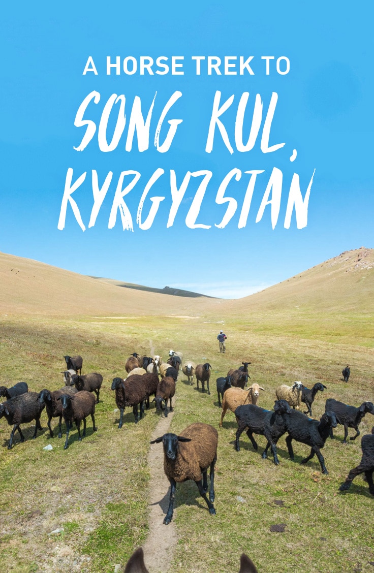 A disastrous horse trek with a happy ending. Read on to learn how to save money by independently arranging a horse trek to Song Kul lake in Kyrgyzstan.