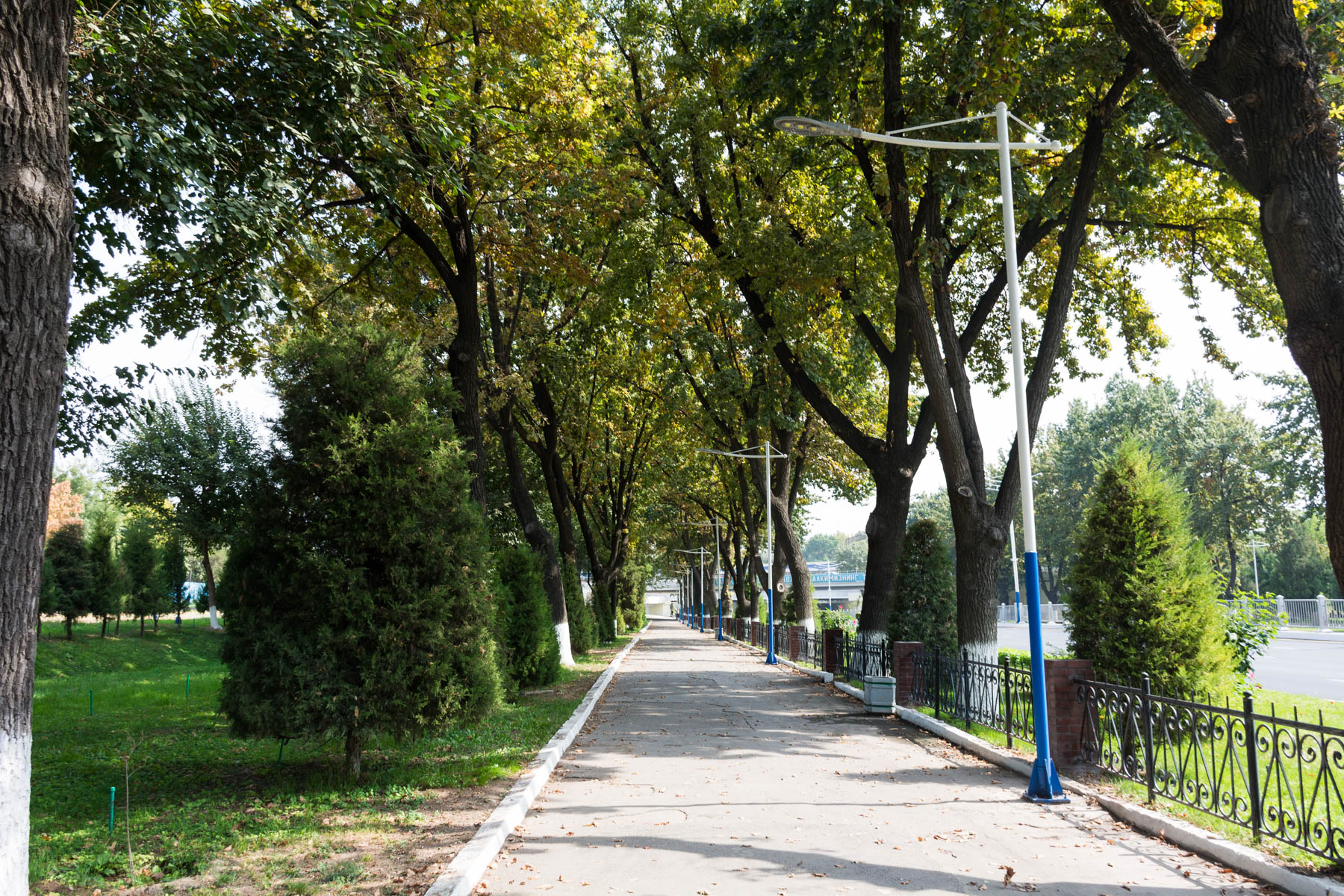 A path on the way to the Indian Embassy in Tashkent, Uzbekistan - Lost With Purpose