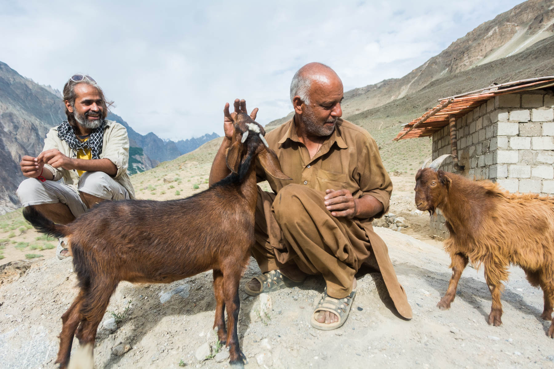 Goatherd with his flock in Pakistan - Lost With Purpose