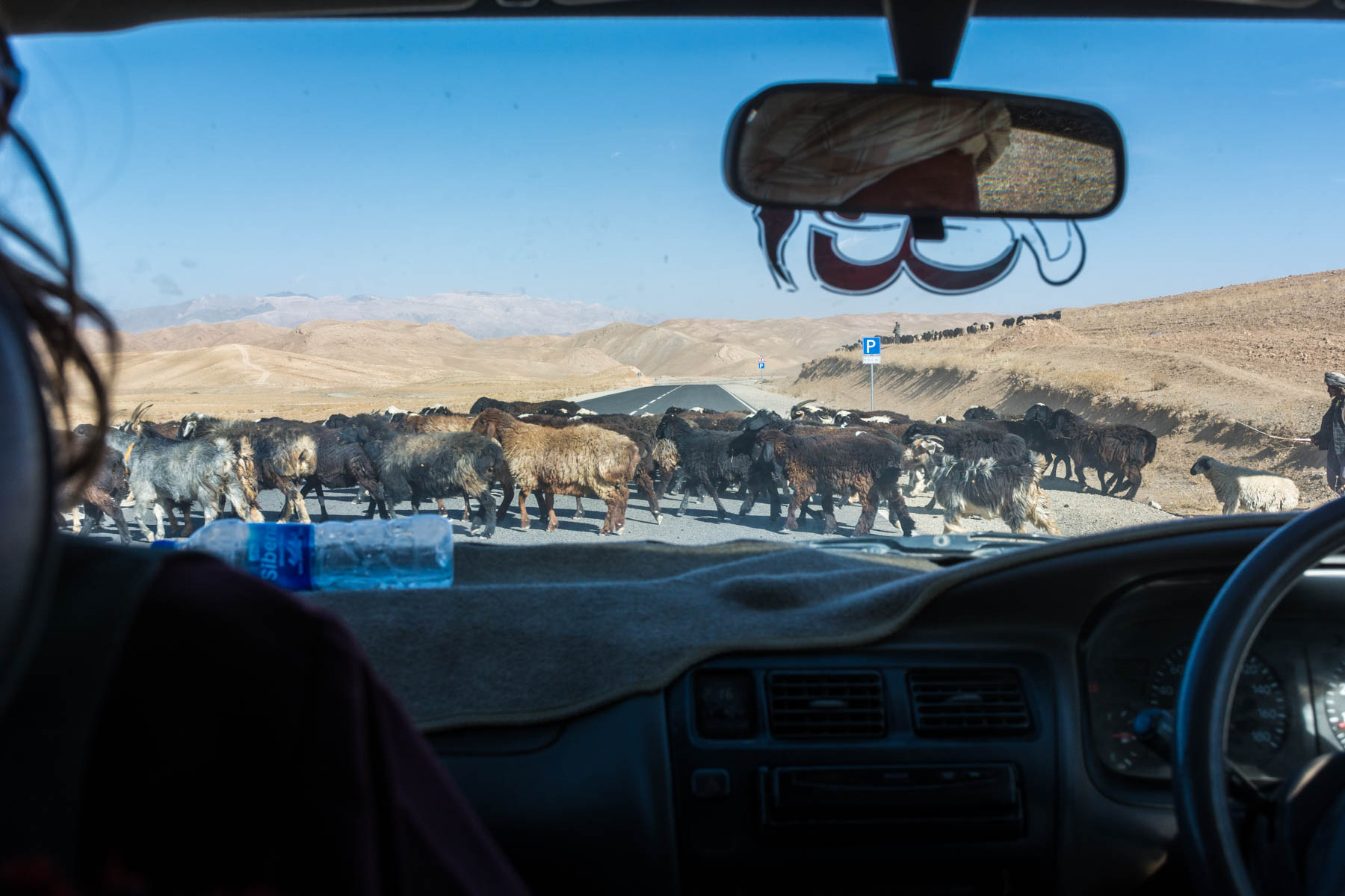 Goats blocking the road near Band-e-Amir, Afghanistan