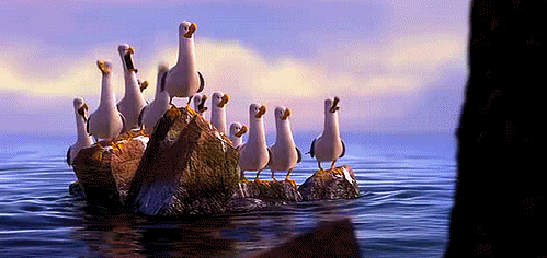 GIF of seagulls from Finding Nemo