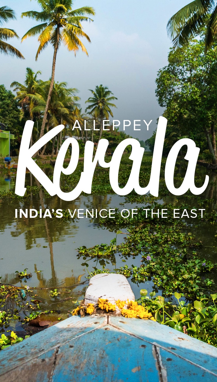 The Alleppey (Alappuzha) backwaters in Kerala, India, are a famous stop on the southern Indian tourist track. With lush palm trees and winding waterways, they're a pleasure to boat around. But boat hire can be expensive for budget travelers and backpackers! Here's the cheapest way to see the Alleppey backwaters in Kerala, India.