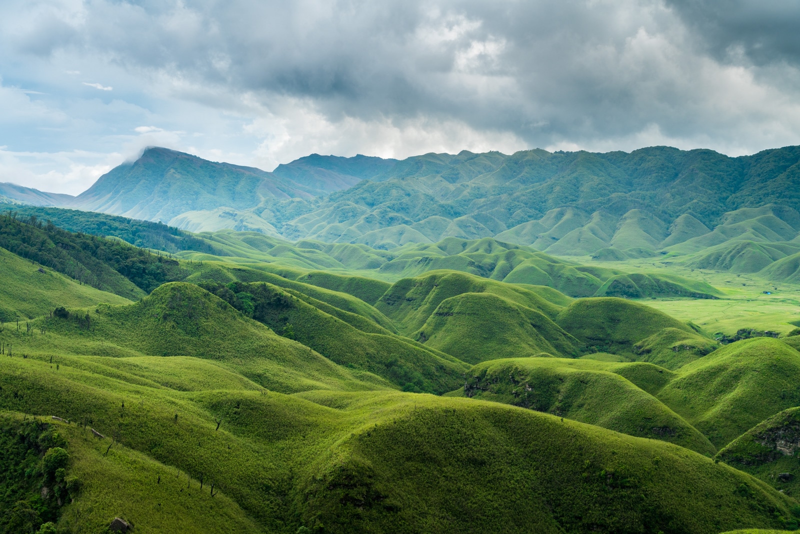 The green carpeted hills of Dzukou Valley