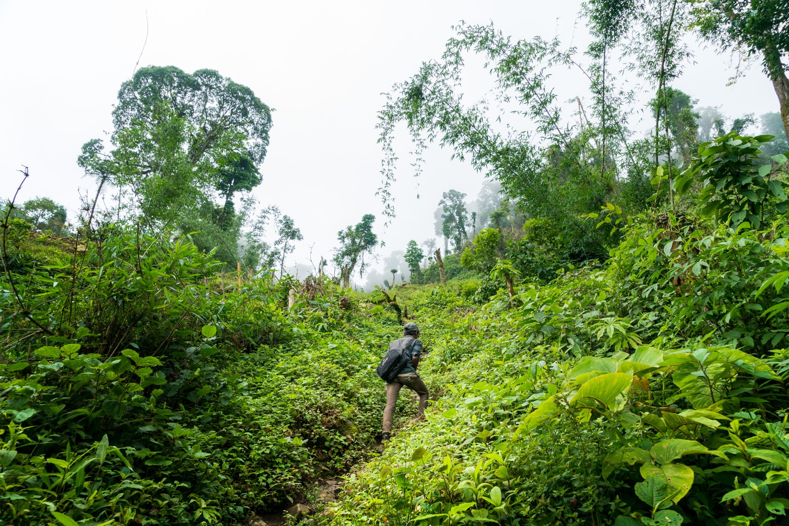 What to pack for monsoon travel - Walking in the jungles of Longwa, Nagaland, India - Lost With Purpose