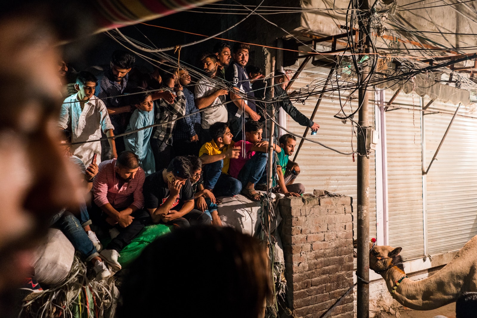 Celebrating Eid al-Adha in Lahore, Pakistan - Crowd of men watching a camel sacrifice - Lost With Purpose travel blog