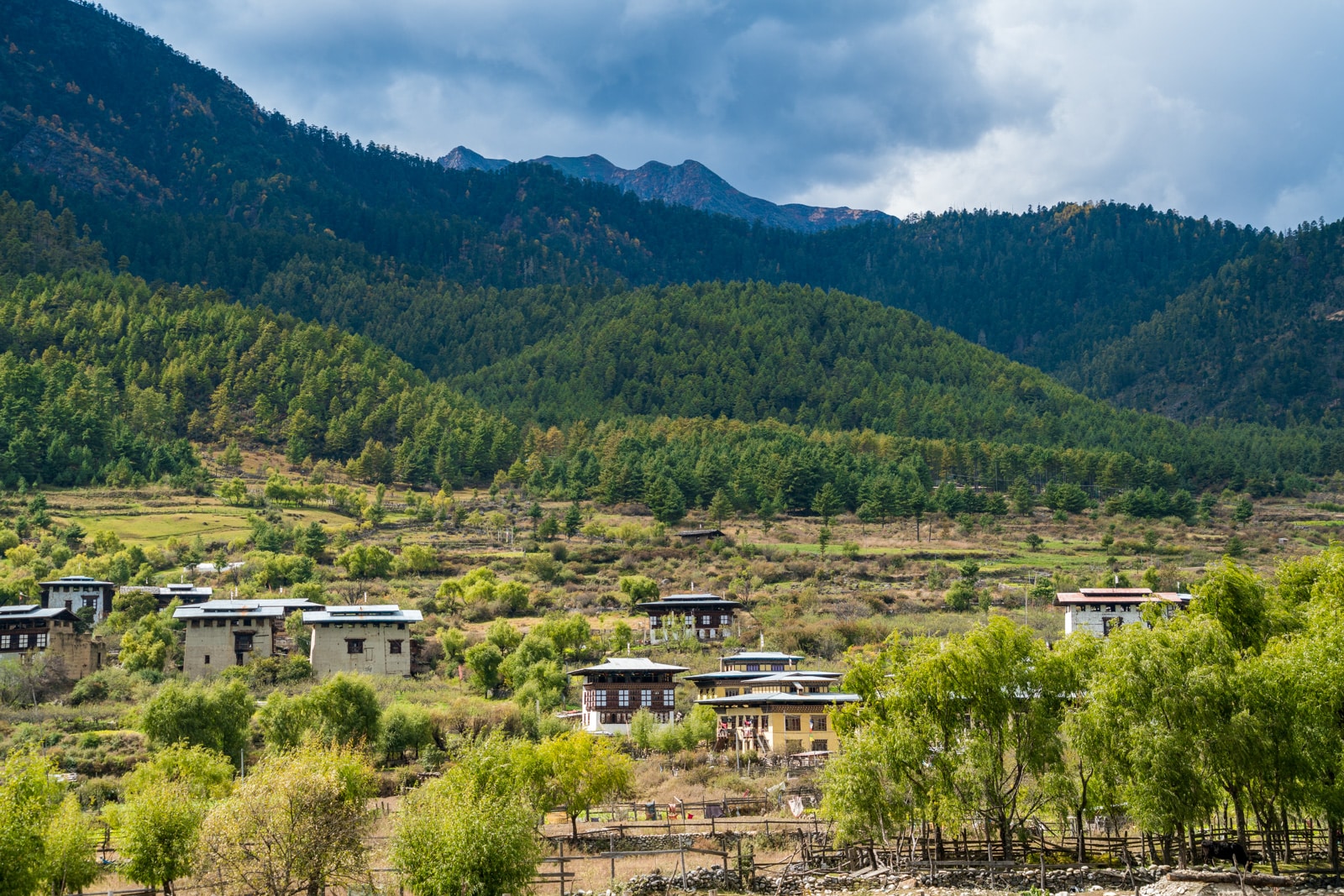 Off the beaten track Bhutan - Haa Valley houses - Lost With Purpose travel blog