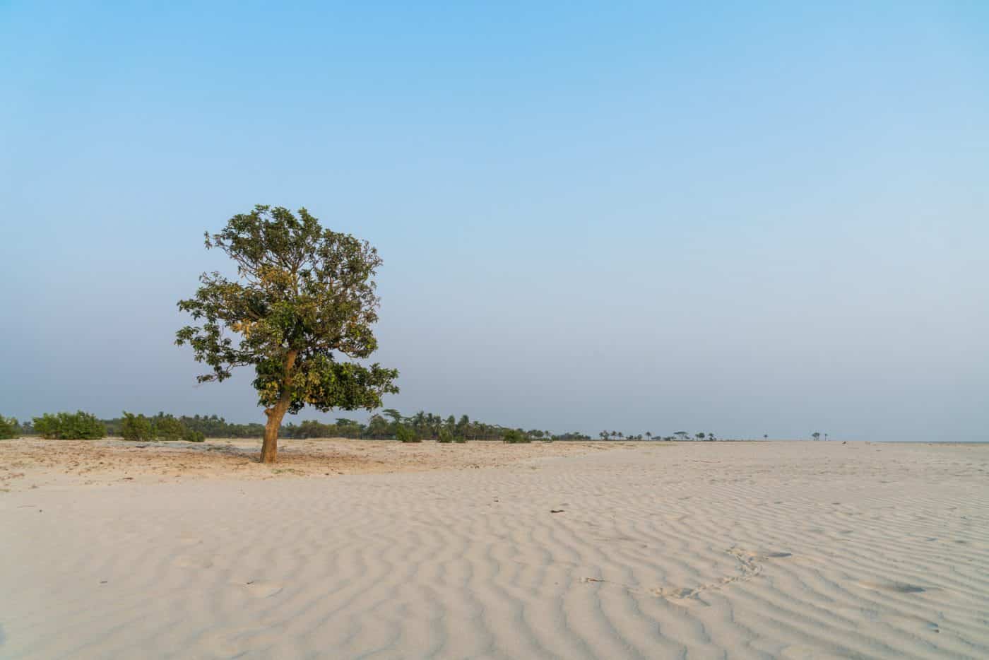 A Travel Guide To Nijhum Dwip, Bangladesh - Lost With Purpose