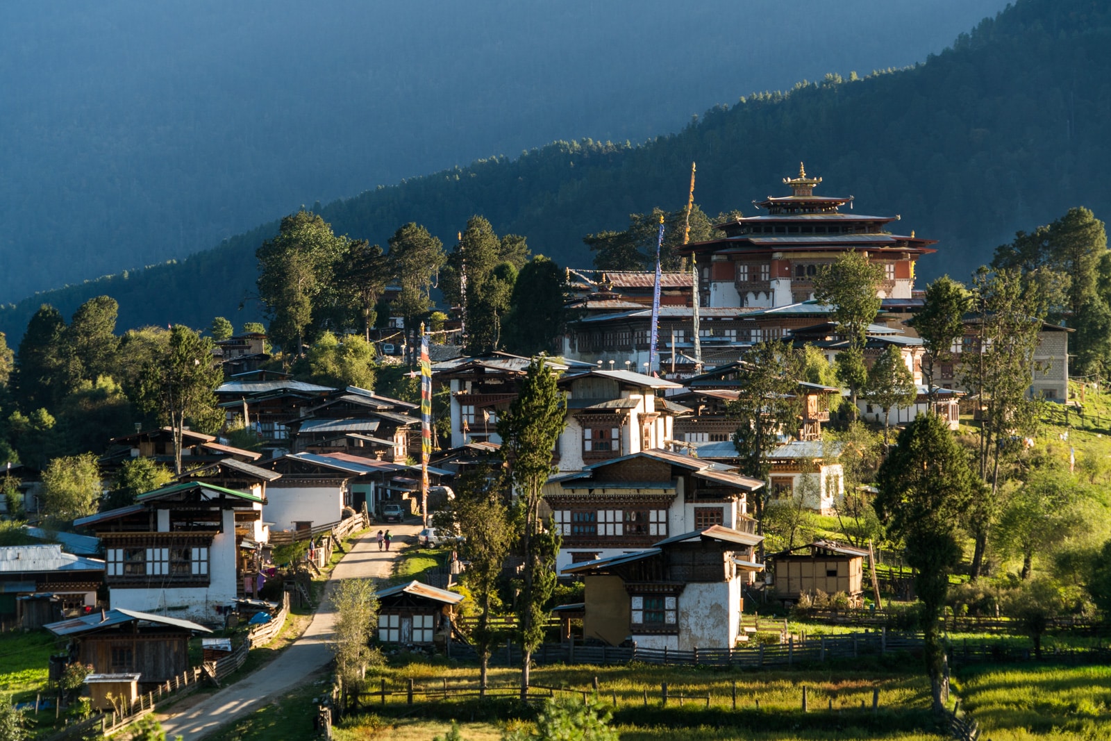 Stunning photos of Bhutan - Gangtey village hilltop at sunset - Lost With Purpose travel blog