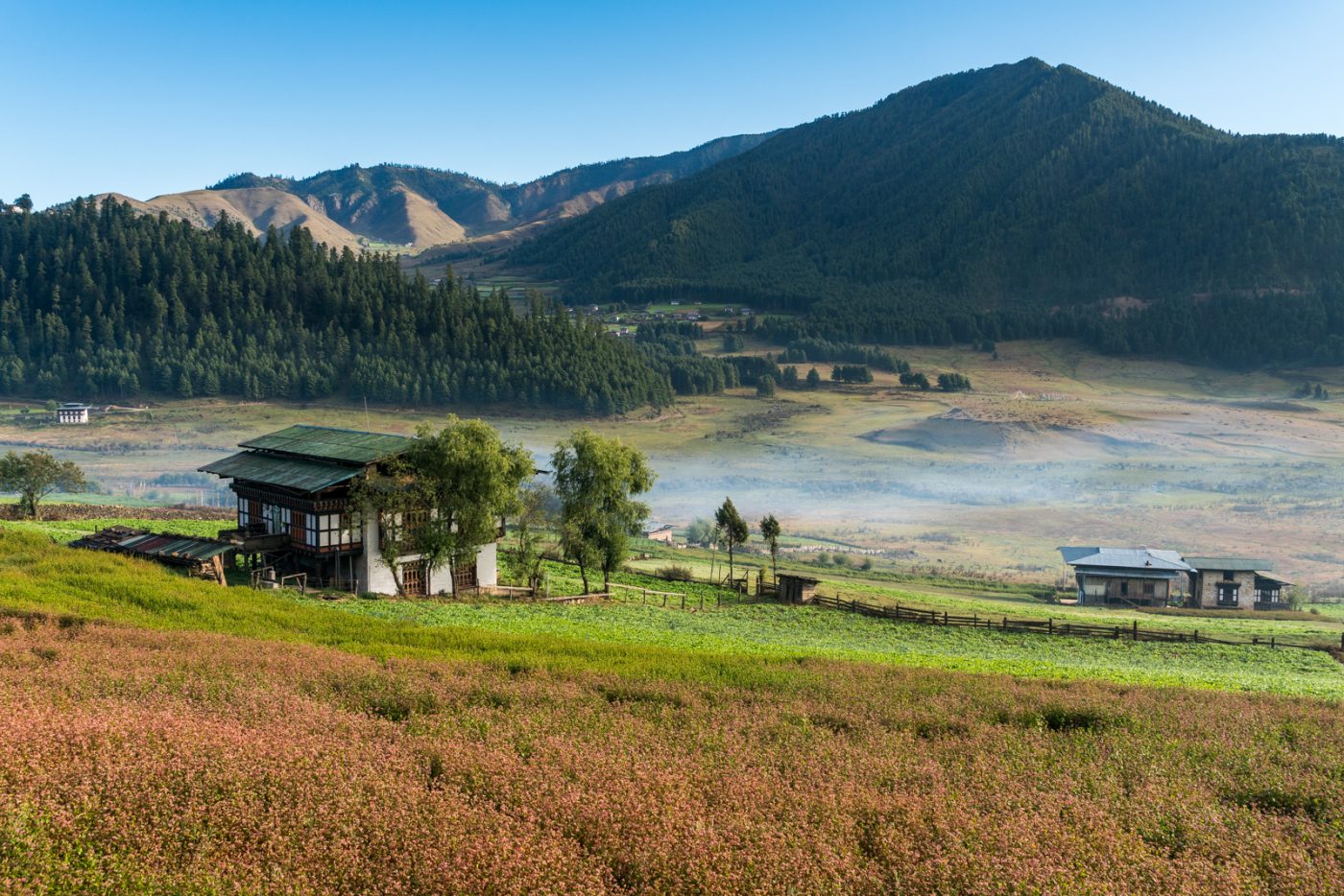 50 Stunning Photos Of Bhutan That Make You Want To Go - Lost With Purpose