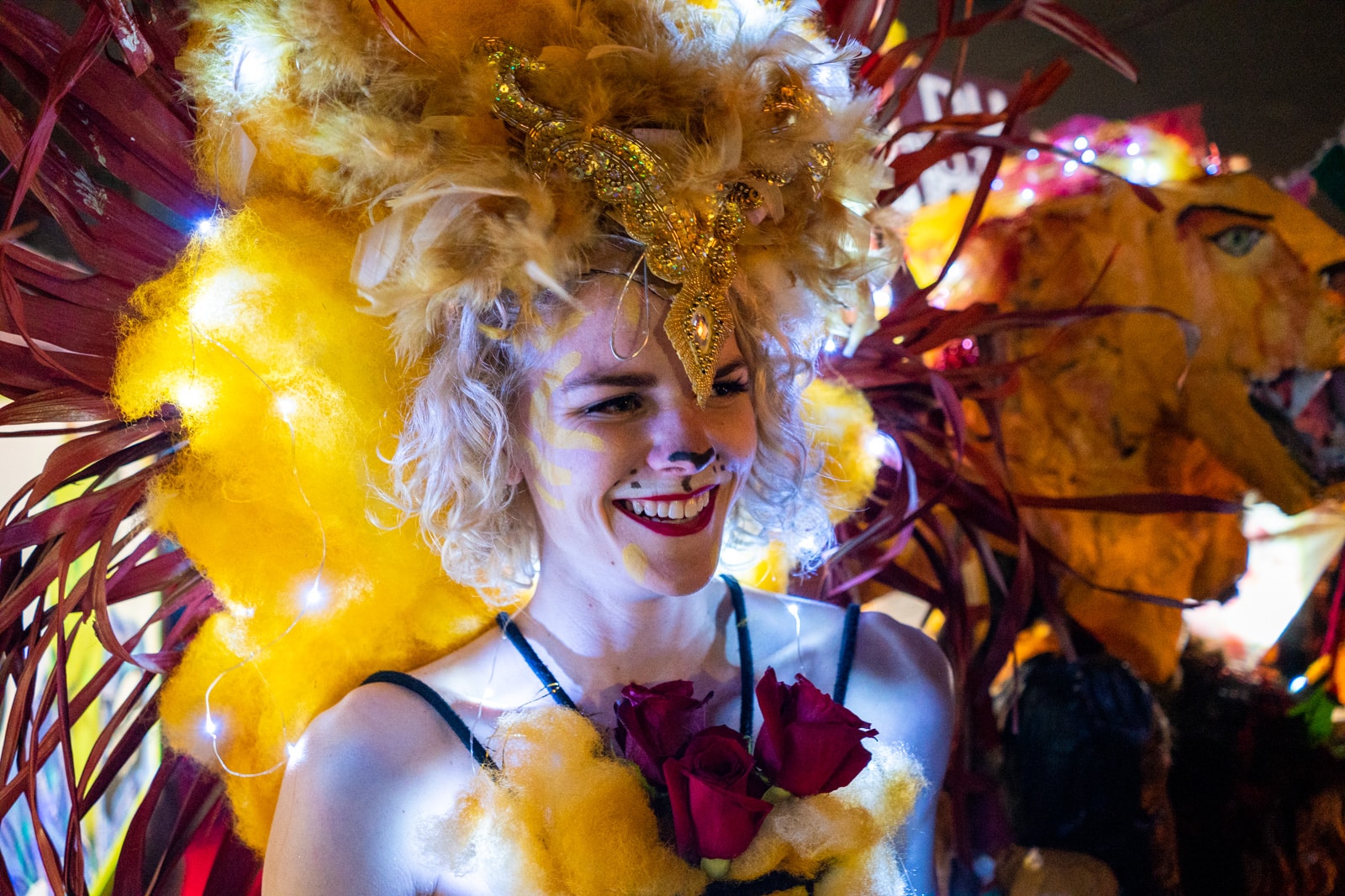 Bushy babes & bohemian parades - Mardi Gras in New Orleans | Lost With ...