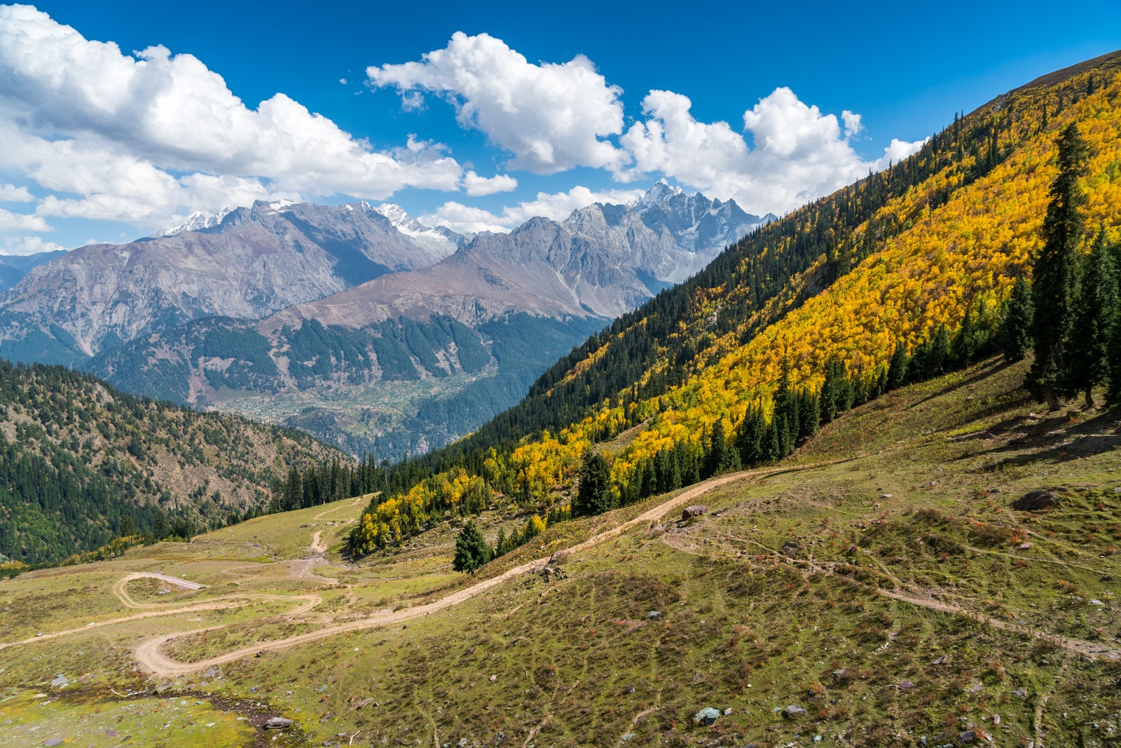 Trees and mountains in autumn in Swat Valley, Khyber Pakhtunkhwa, Pakistan