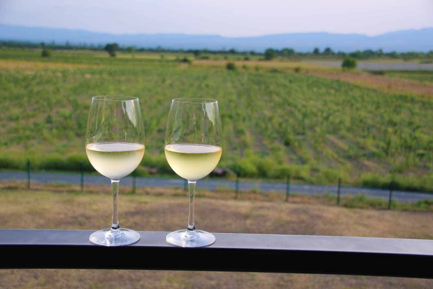 White wine tasting in Kakheti, Georgia