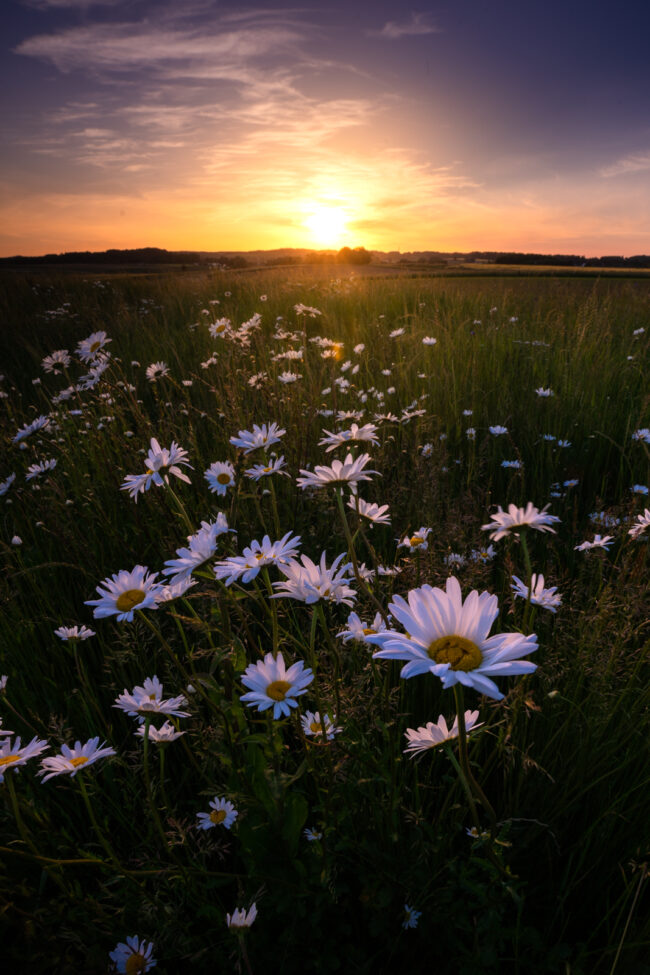 Learning To Love The Quiet Charms Of Leefdaal, Belgium | Lost With ...